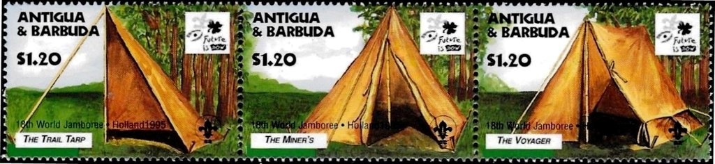 Stareyed Hermit Crab (Dardanus venosus)