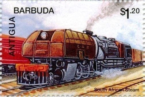 Elkhorn Coral (Acropora palmata)