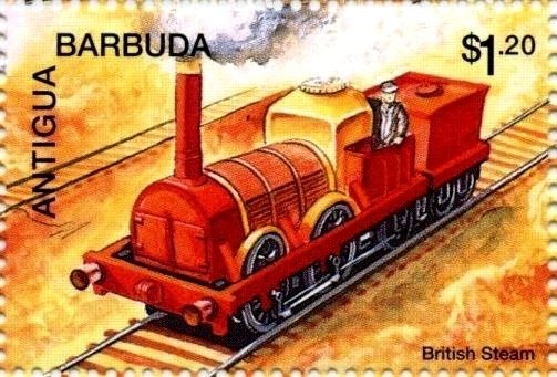 Caribbean Reef Shark and Short Fin Pilot Whale