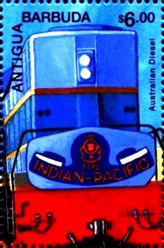 Antigua Broad-winged Hawk (Buteo platypterus insulicola)