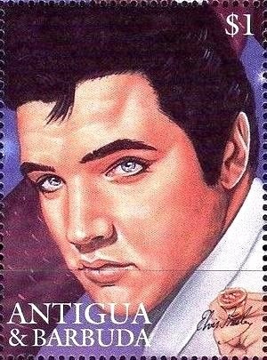 Common Morel (Morchella esculenta)