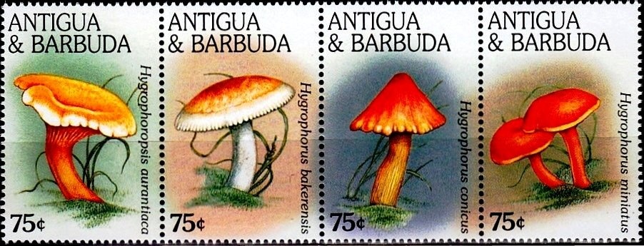 King James III of Scotland, 1460-1488