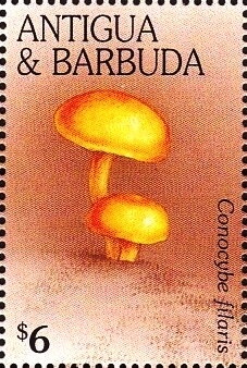 Mickey being Lifted by Bird