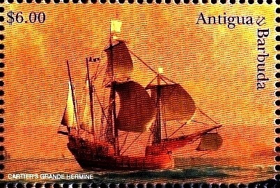 Lemon Shark (Negaprion brevirostris)