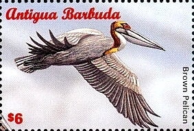 "I tripped because..."