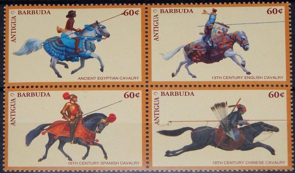 Royal tern (Thalasseus maximus)