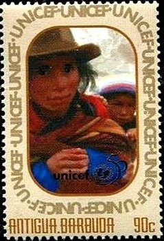 Young Magnificent Frigatebird (Fregata magnificens)