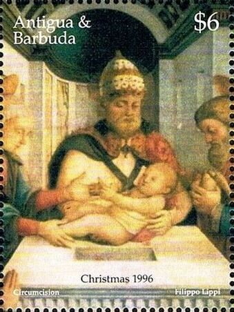 Ringed Kingfisher (Ceryle torquata)