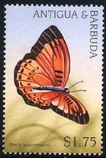 Bruce Lee (1940-1973)