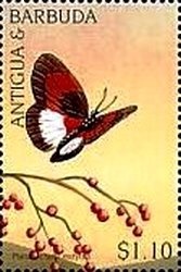 "Great Knot sitting among Water Grass"