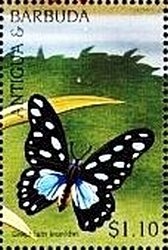 "Madonna and Child with Angels" (Filippo Lippi)