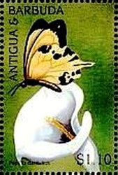 Sooty Tern (Sterna fuscata)