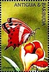 First Footprint on Moon