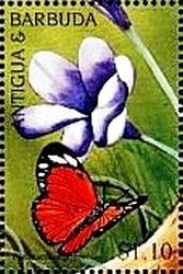 Prince Charles Edward Stuart, 1720-1788