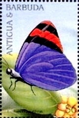 World Wild Life Fund (2)