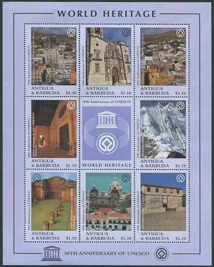 Dombeya (Dombeya wallichii)