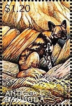 White-tailed tropicbird (Phaethon lepturus)