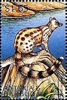 Elvis and Priscilla on Wedding Day