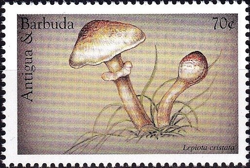 Benjamin Frankin Sitting at Desk