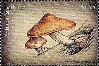 Russian Tank and Infantry