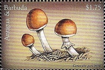 Elvis with Microphne in Left Hand