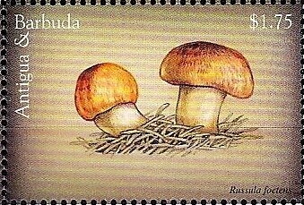 Helping Woman at Independence Parade