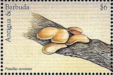 Mickey, Goofy and Donald Judging Gymnastics