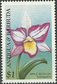 Queen Elizabeth The Queen Mother's Crown