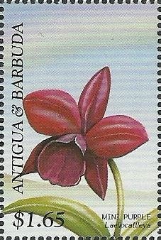 Death of Kublai Khan (1294)