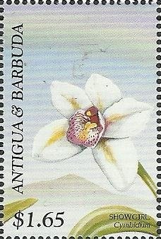 Elle Macpherson wearing Cream Shirt