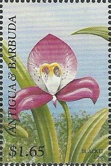 Ernest Thompson Seton and American Scout Badge