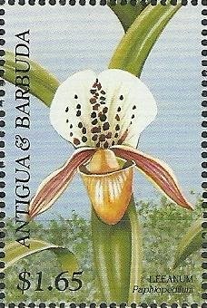 Resting in Deck Chair