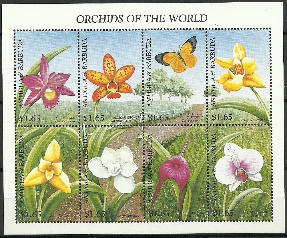 Hell's Gate Steel Orchestra, 1996