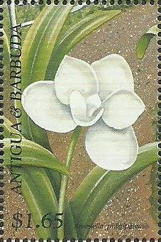 Queen Elizabeth II with Prince Edward