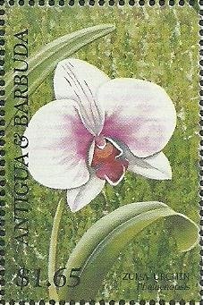 Rockwell B-1B "Lancer"