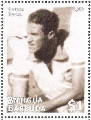 Maltese Dog (Canis lupus familiaris)