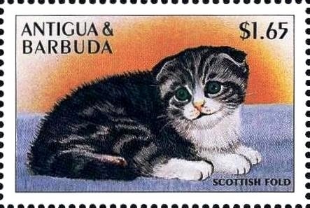 First Day Cover of USA 1969 "First Man on Moon" Stamp