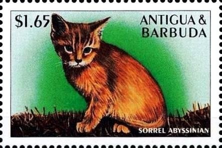 Sir Vivian Richards with Enlarged Action Photo of Himself