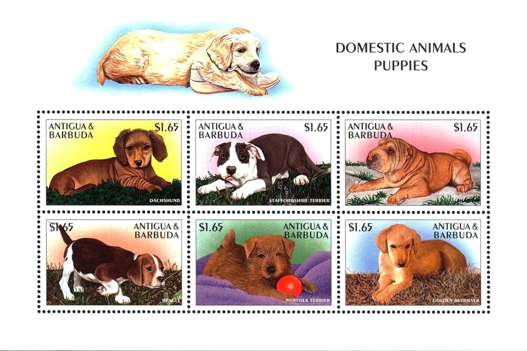 "Adoration of the Shepherds" (detail) (Catena)