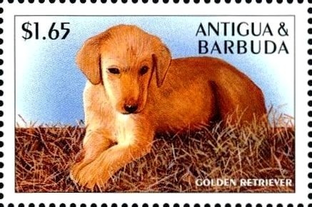 Queen Elizabeth II in Garter Robes