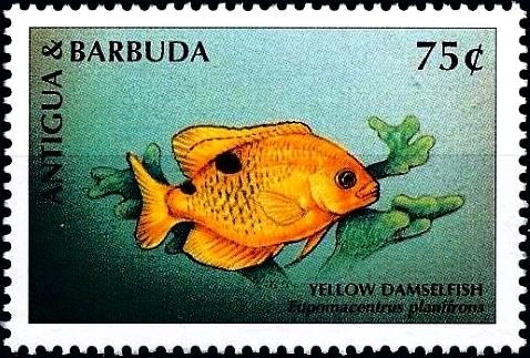 Brothers Grimm - Cinderella