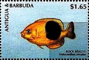 Donald Duck as Poor Jo ("Bleak House")