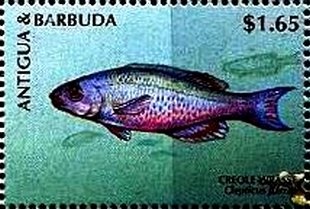 Giovanni Trapattoni (Italian coach)