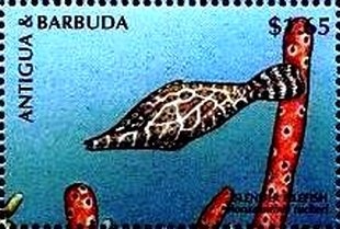 In "Blood and Sand", 1922