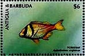 Princess Diana Wearing Pearl Drop Earrings