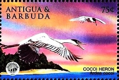 Concorde 01 in Flight