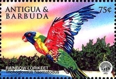 Antillean Clearwing (Greta diaphana)