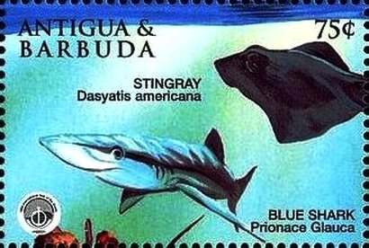 Training Typist, Zambia