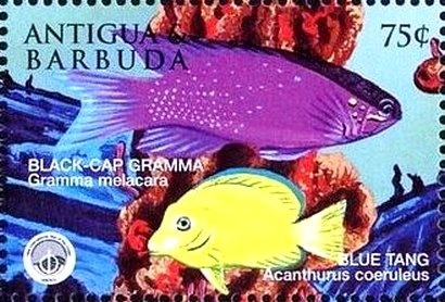 Prince Charles Edward Stuart, 1720-1788