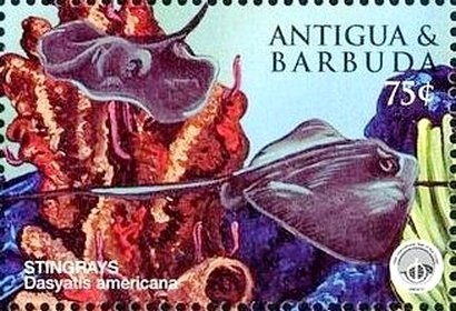 Marine Life of the Tropics